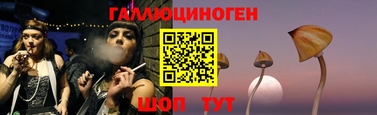 Псилоцибиновые грибы Psilocybe  Вход с VPN  Корсаков 